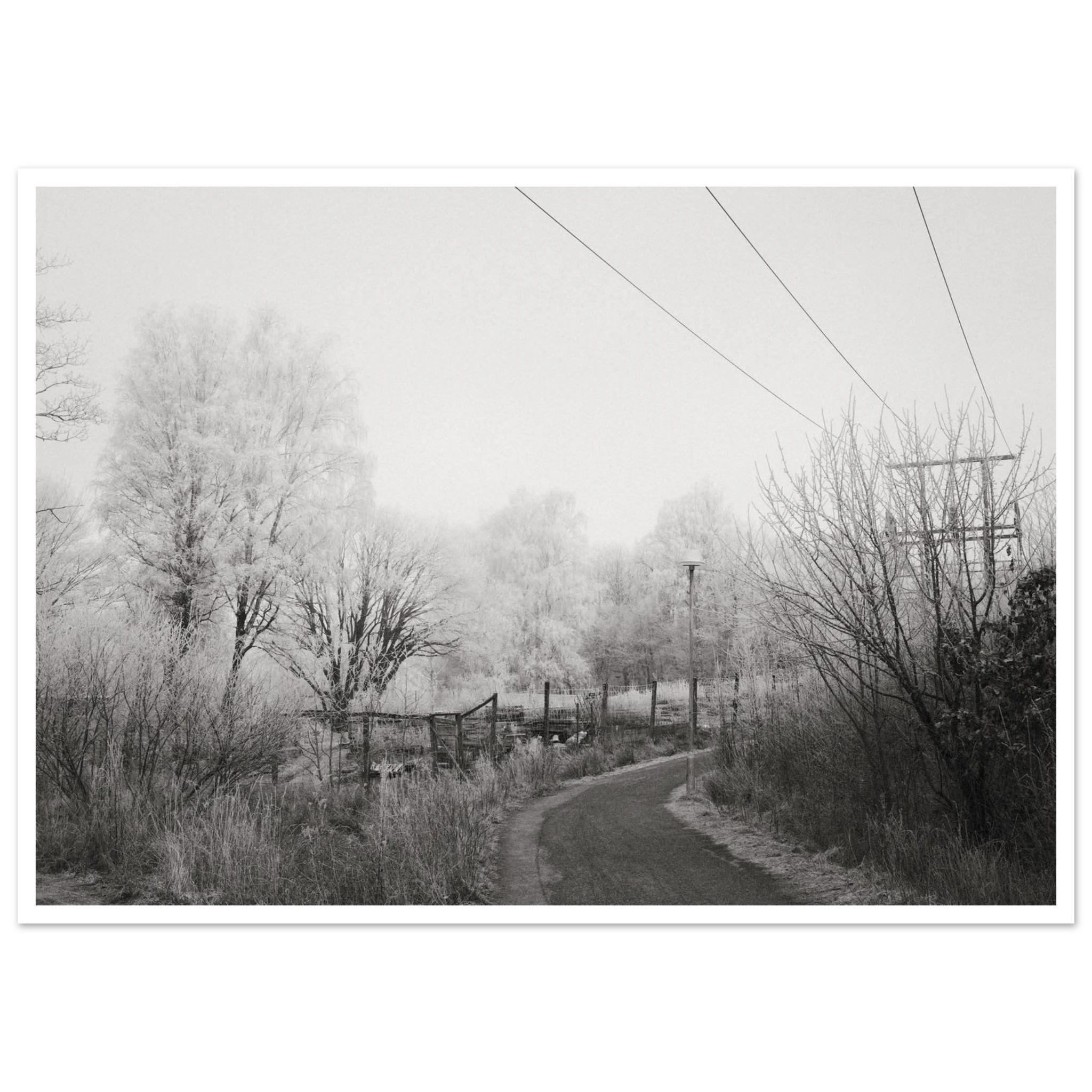 0747a09e-c421-4731-ba6f-8e4b3aca0f13