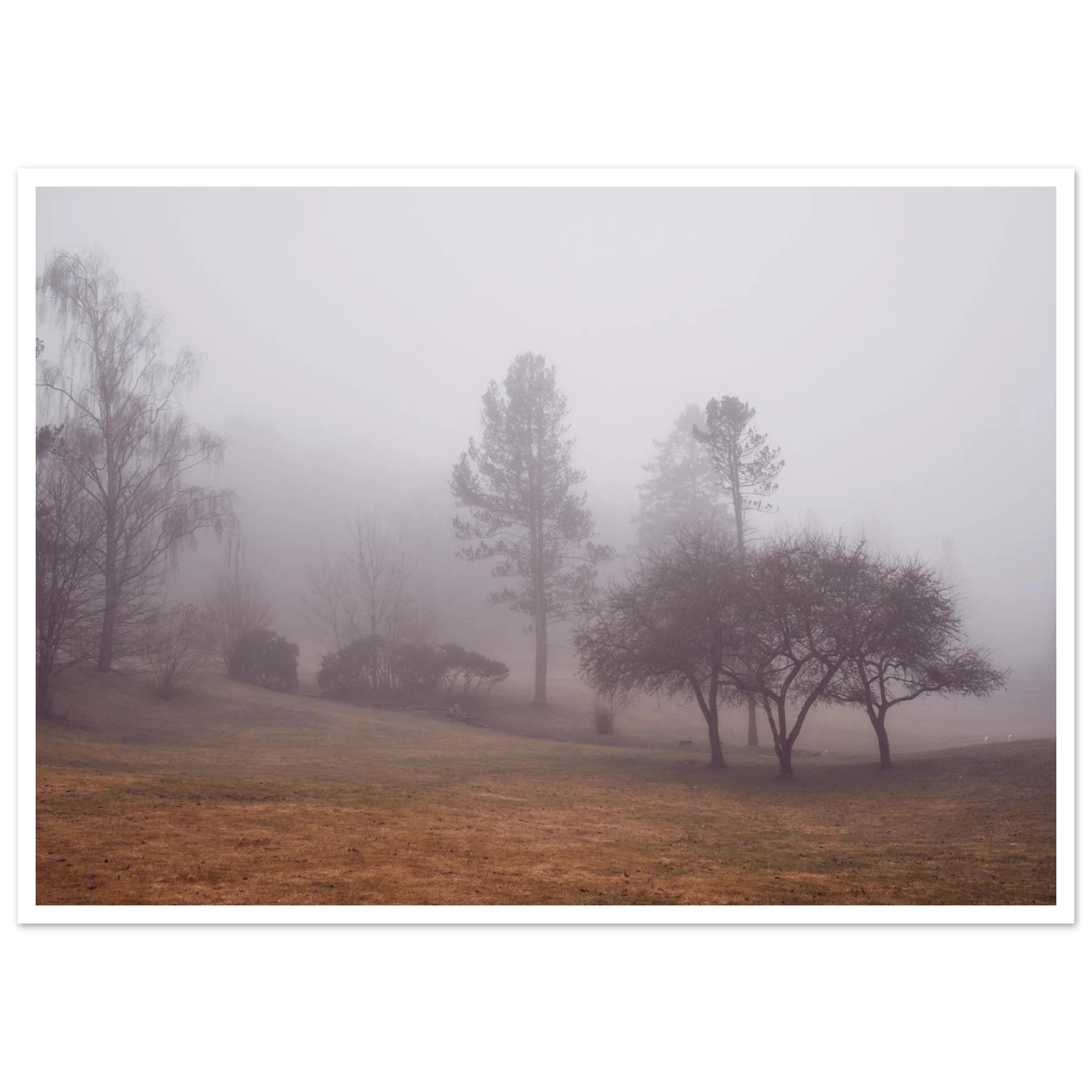 0c9d91be-a038-48da-a34d-0349137c8a4a