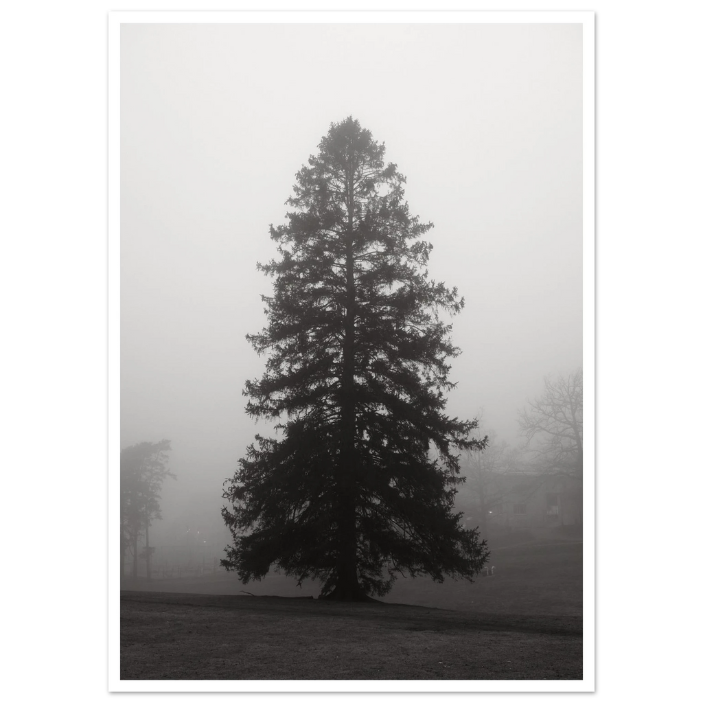 13e7e1c6-a2e4-4877-b3ab-7aa61bb33c0f