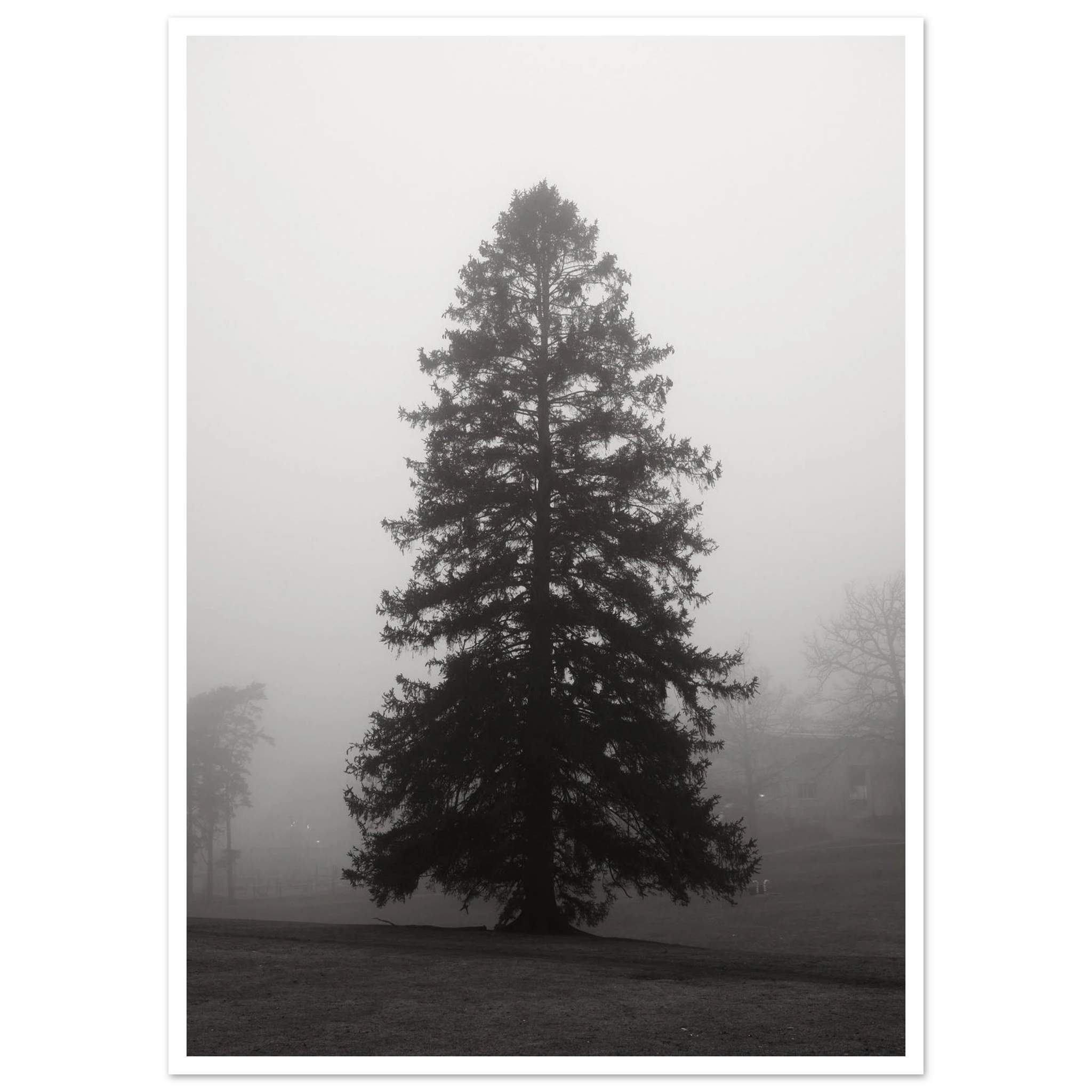 13e7e1c6-a2e4-4877-b3ab-7aa61bb33c0f