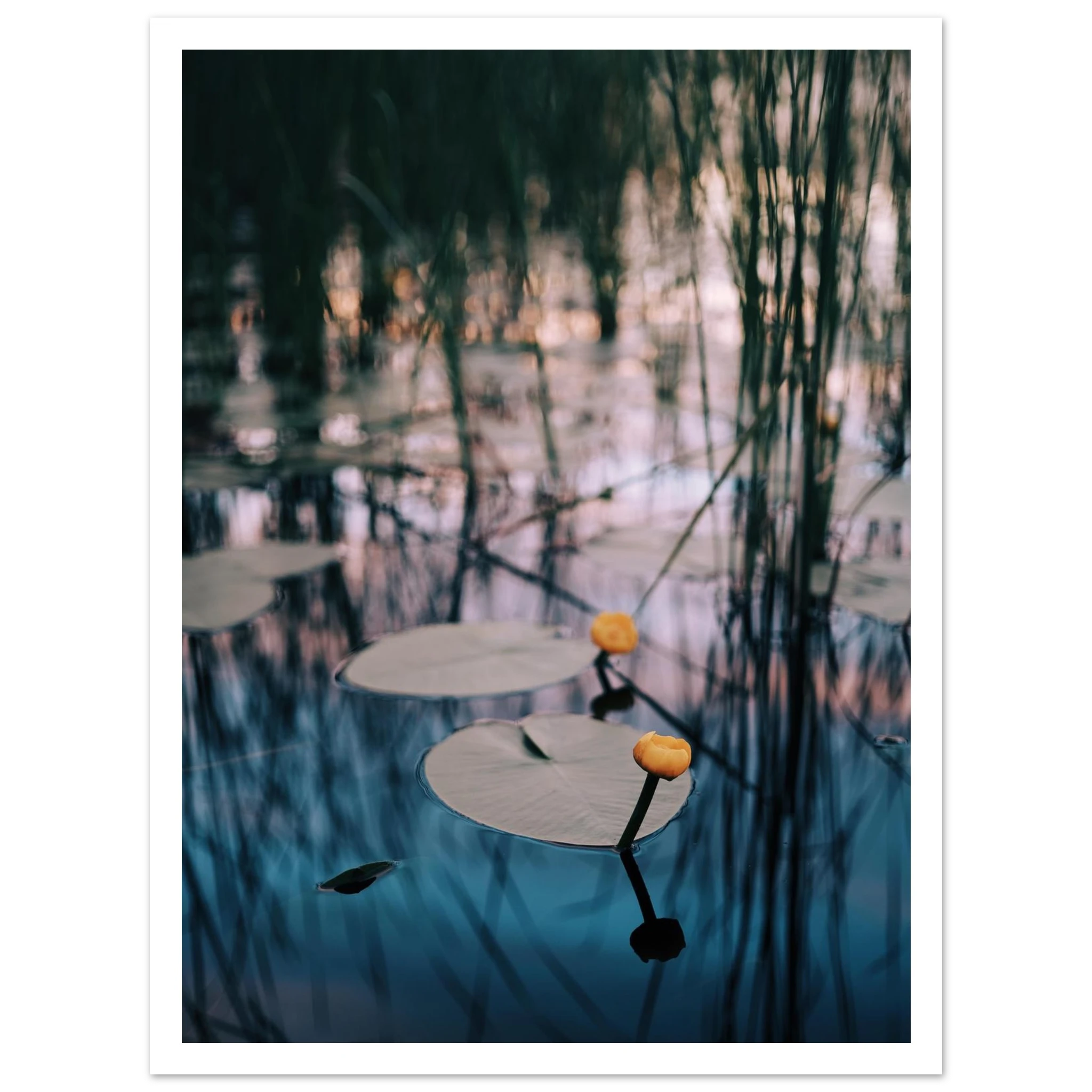 14fbbfb2-48f1-414a-832b-6e56eb316b96