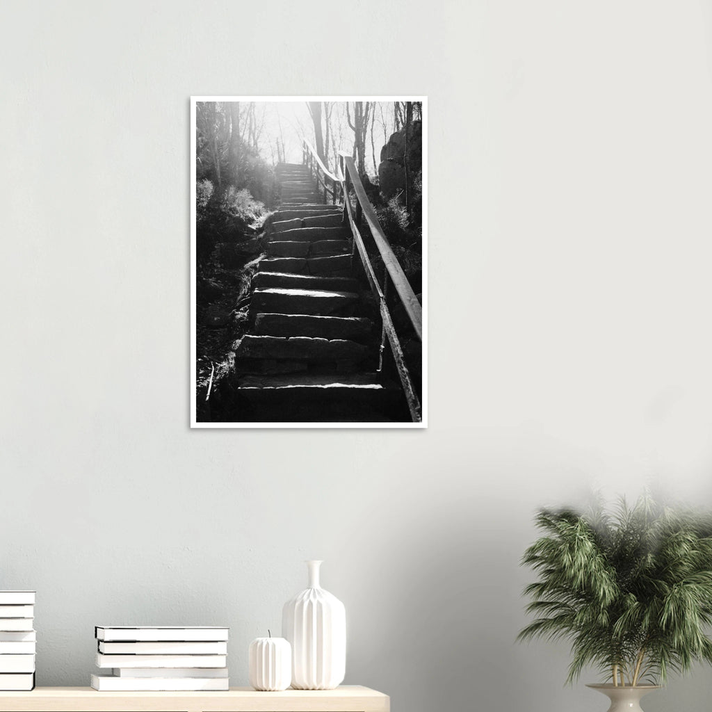 17f39e91-ab35-4698-9ead-3acbd19bc34d