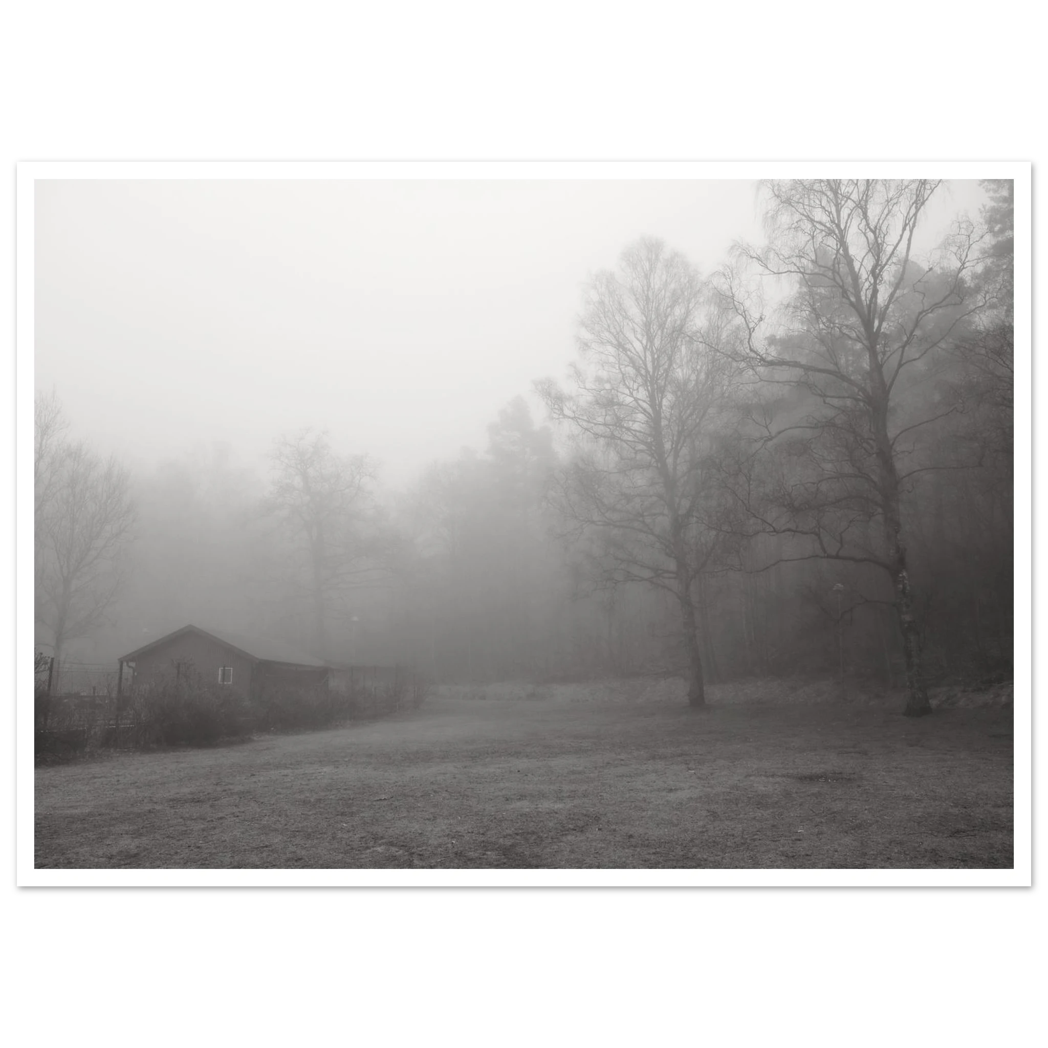 25d9cdbd-ab36-4674-ba88-80728ea9df04