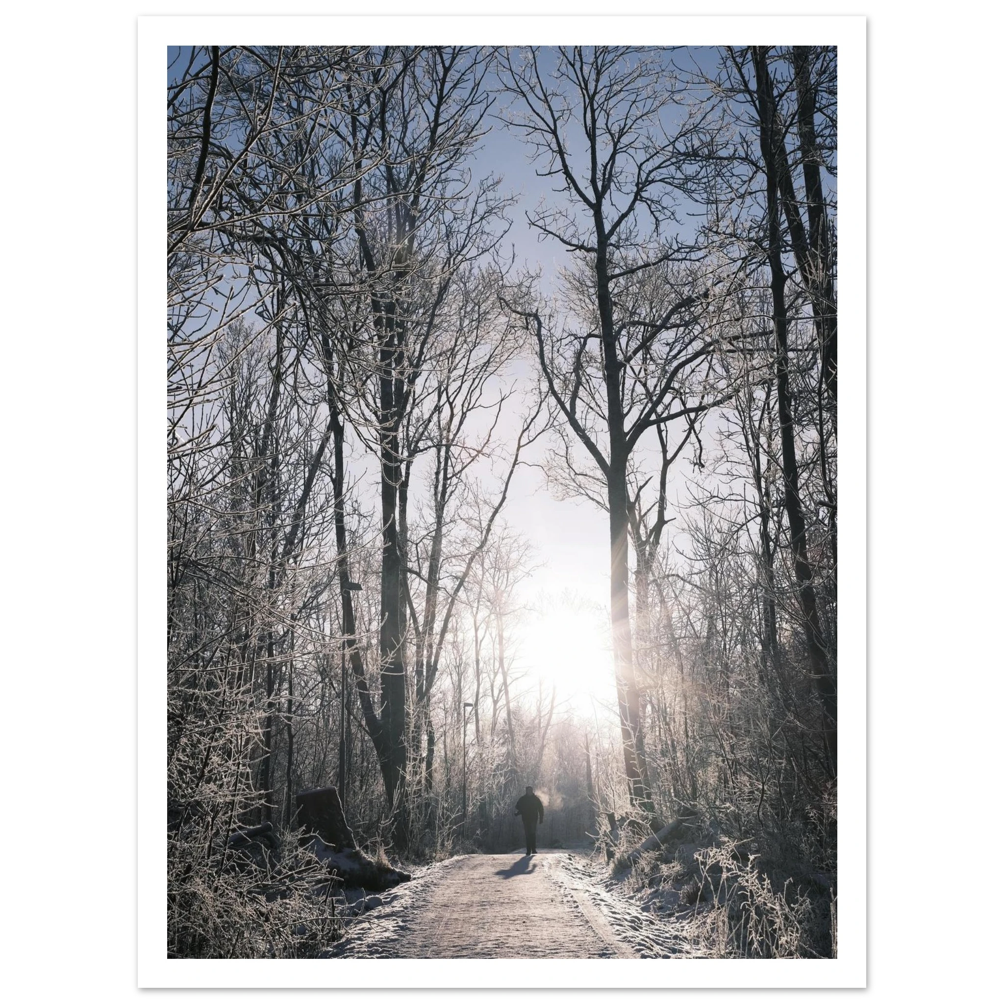 2bd90bd0-c744-448a-9ae2-5ef0ef1d60af