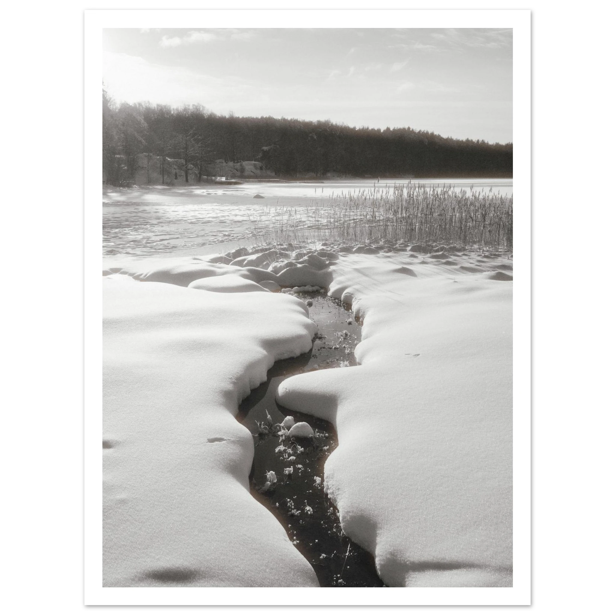 34bcc194-4141-4b26-a4f1-94bc55d72ef8