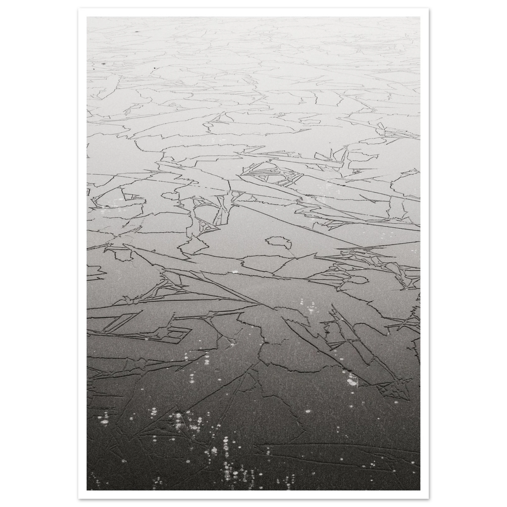 3e7440ce-d53f-4ff1-b629-cf6580e16546