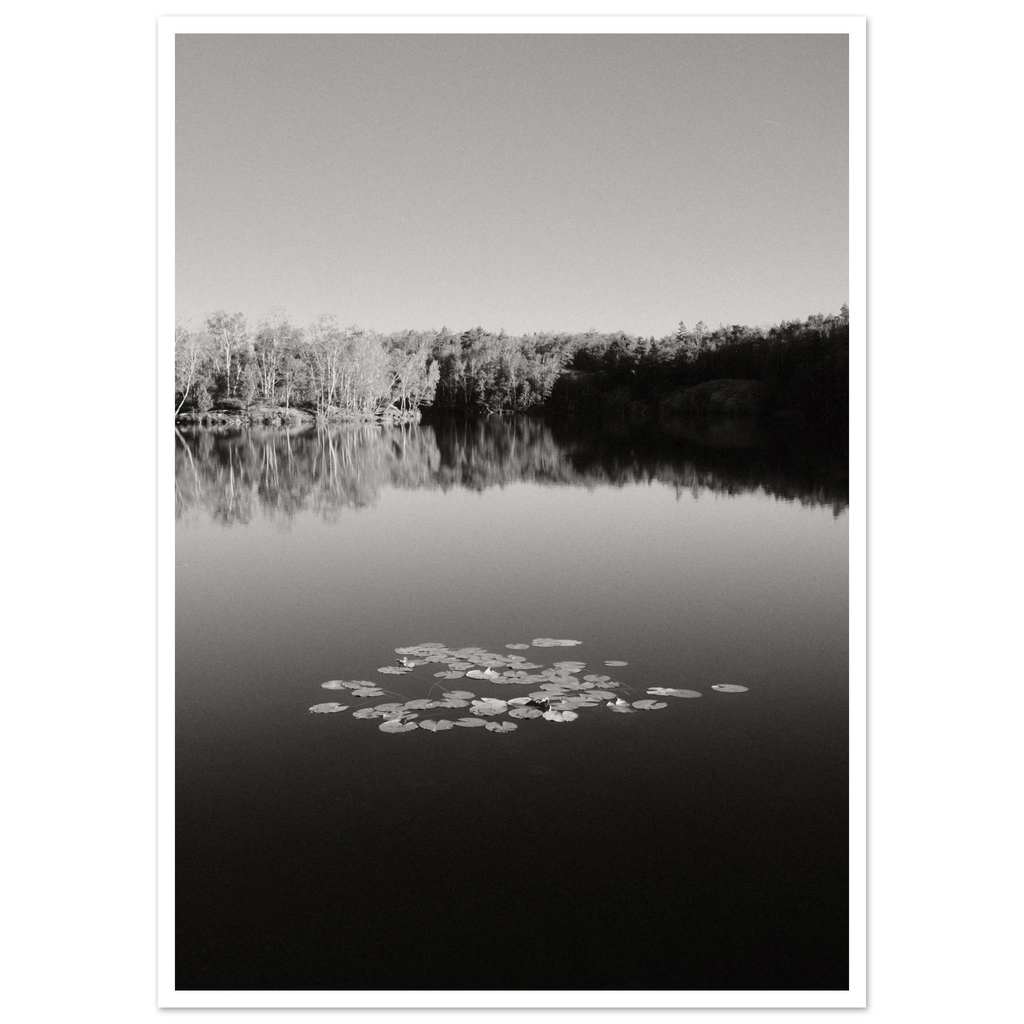 418fe47c-e8d4-4456-bf47-0dfff51b0131