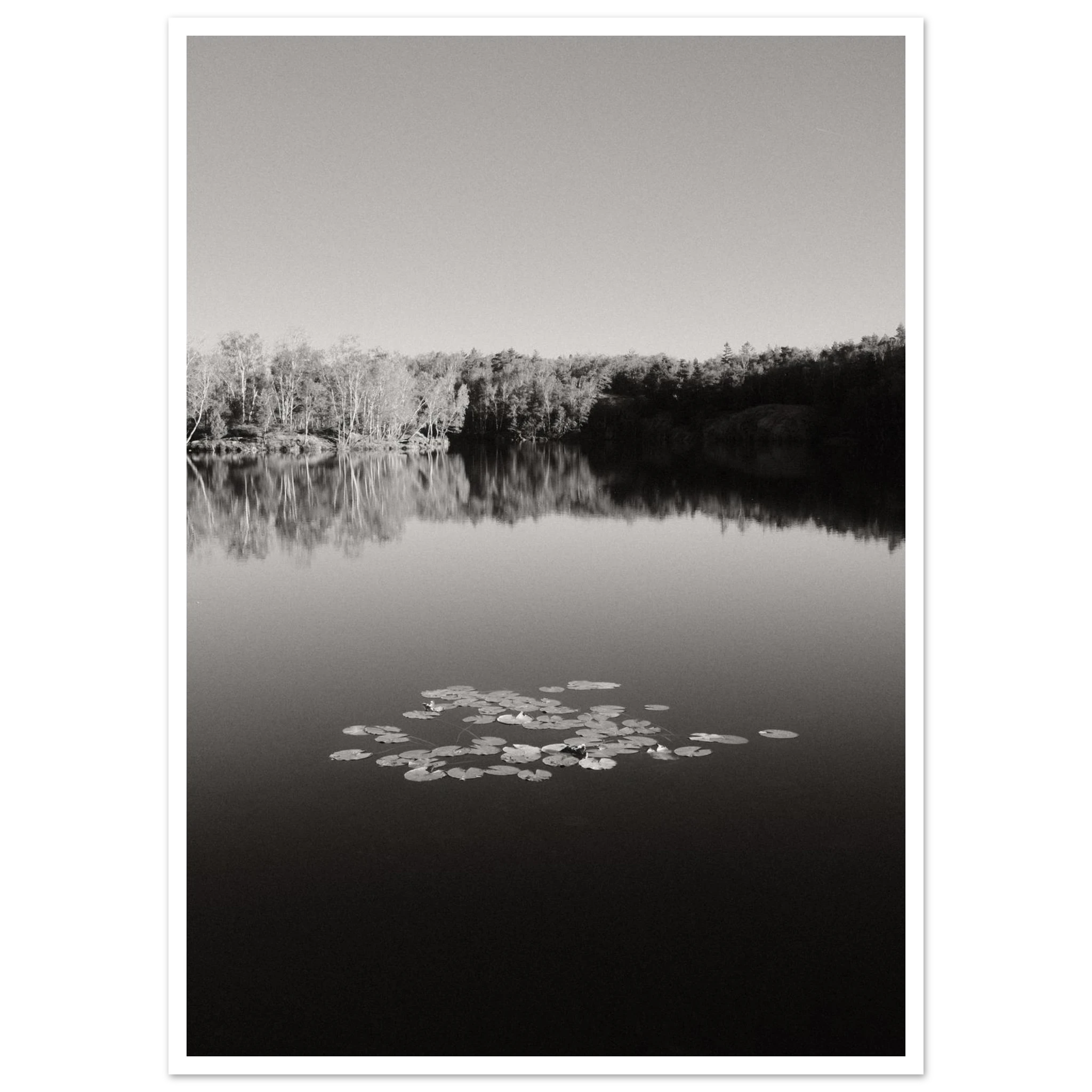 418fe47c-e8d4-4456-bf47-0dfff51b0131