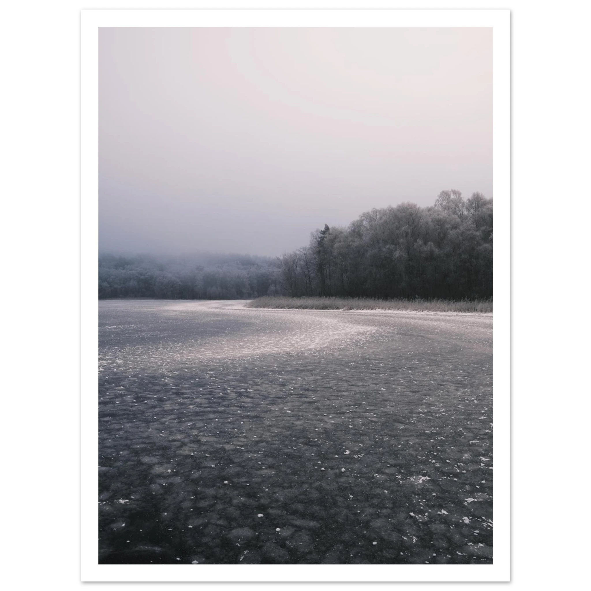 4703fdc7-91ac-4f8d-be3c-b4912adef676