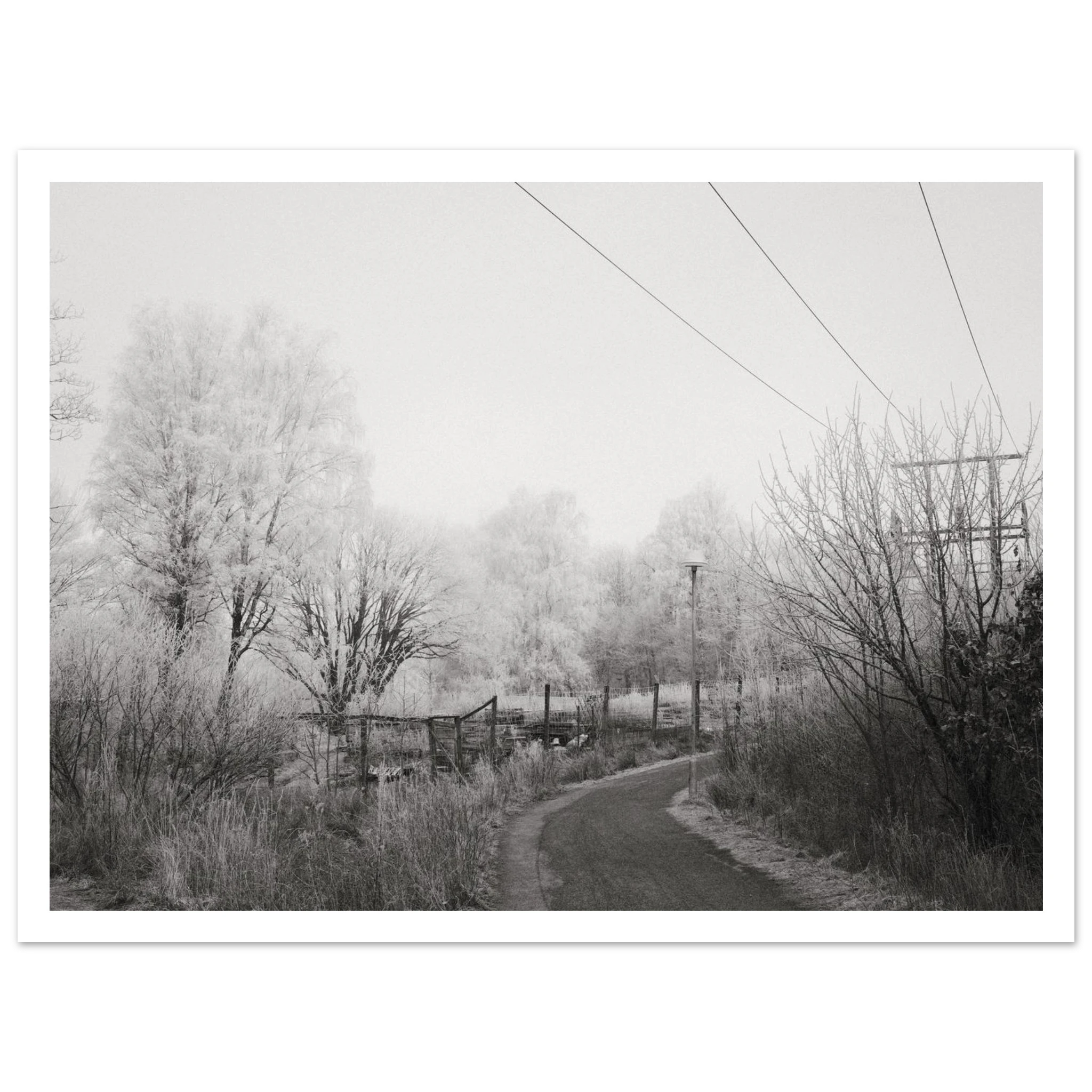 55431605-95cf-4407-99c7-84ca72ed9a16