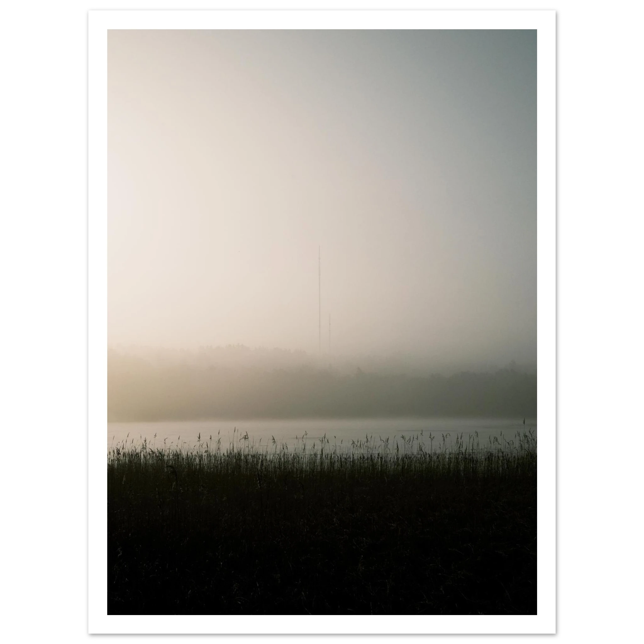 5a99896a-6b0f-432f-a819-4bd94cb25fcf