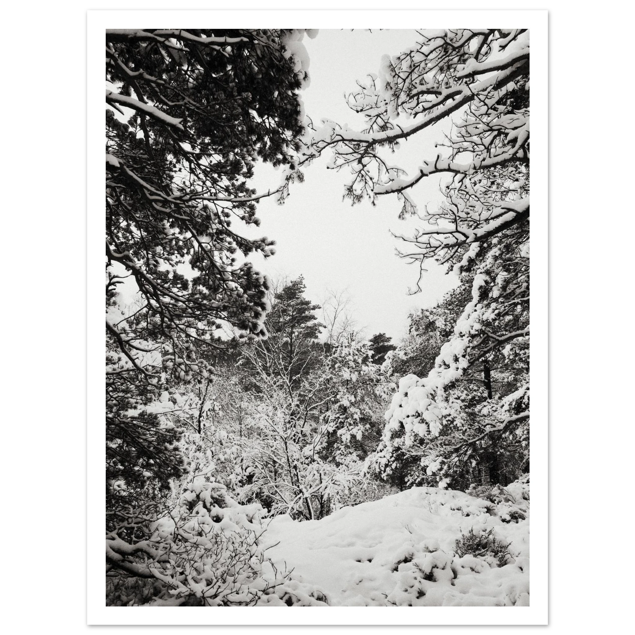 5d899fac-d8a8-49be-8452-13776a88d8fe