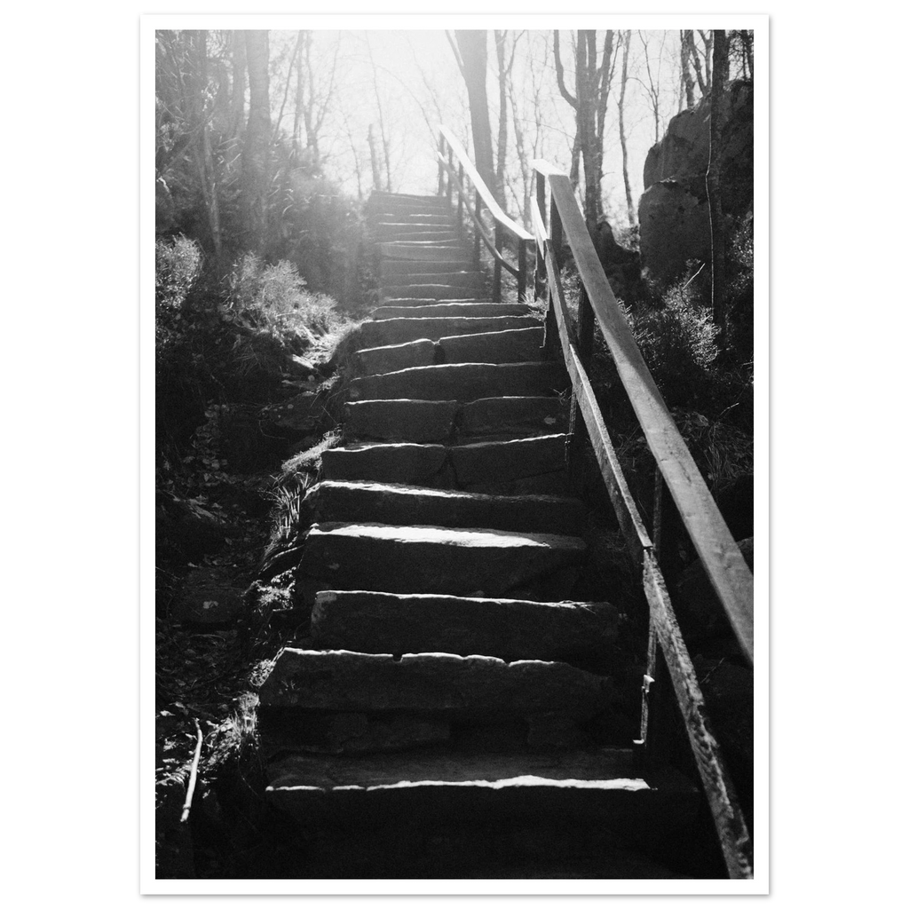 79ae81d8-bc71-4b8a-9396-51936e700b49