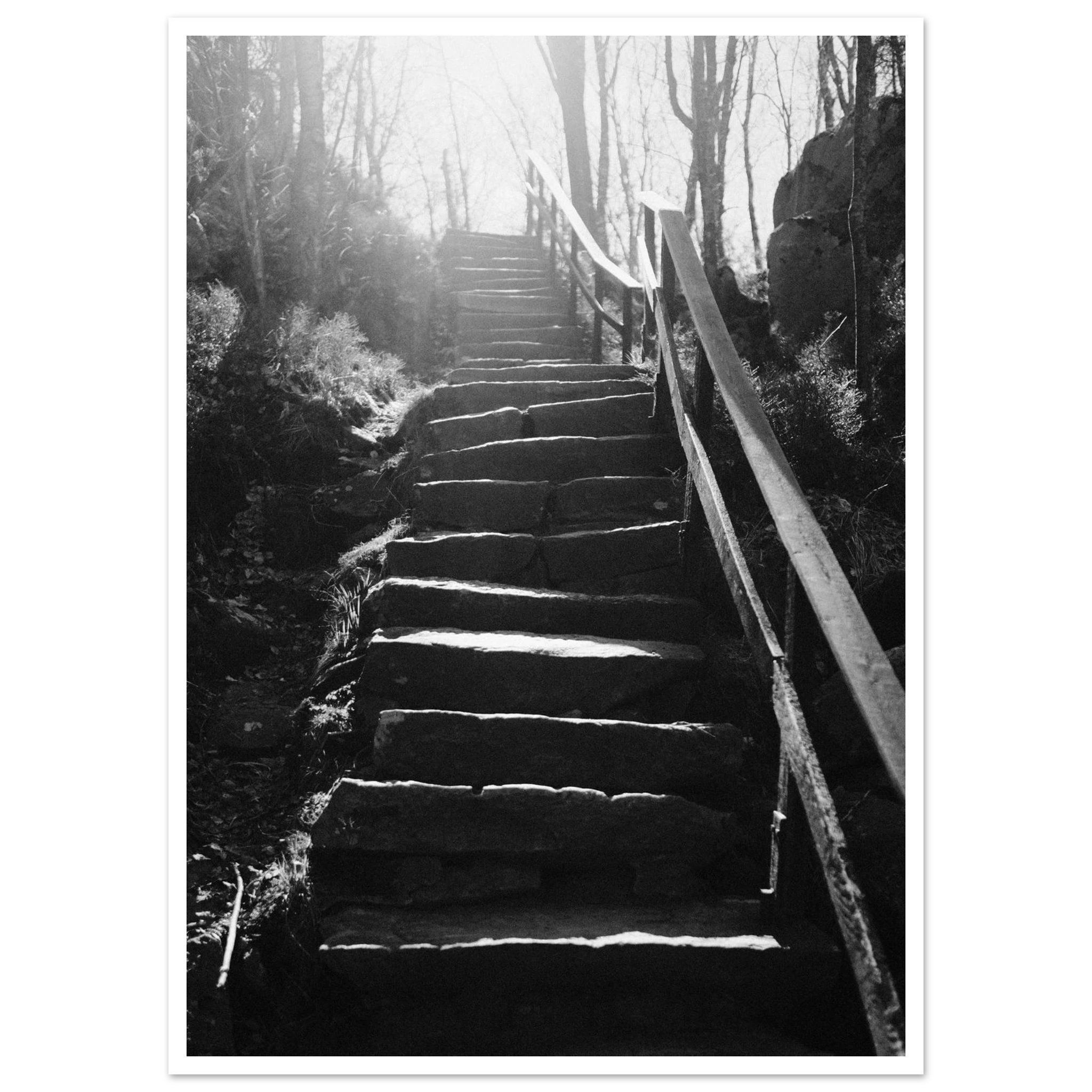 79ae81d8-bc71-4b8a-9396-51936e700b49