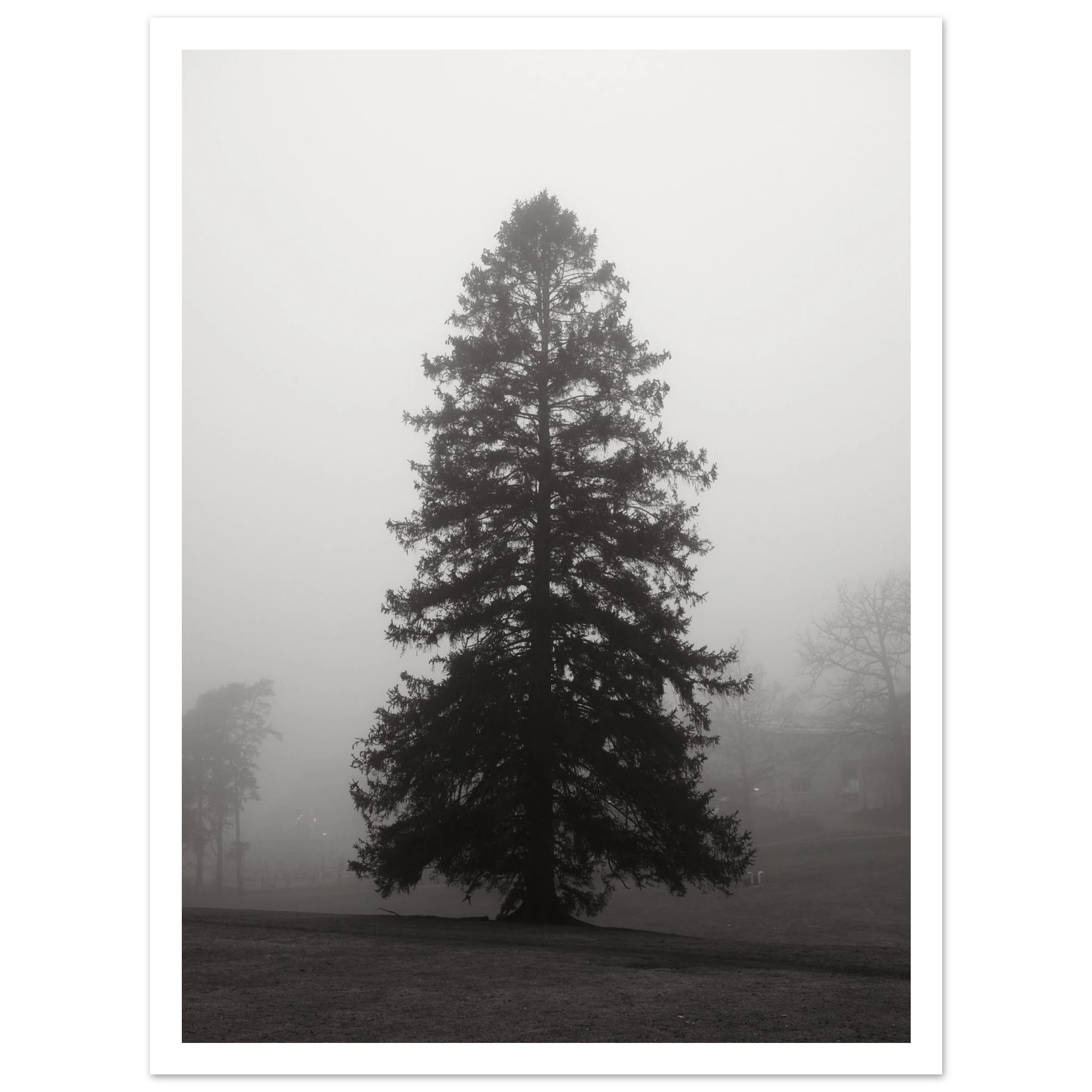 7adca7d2-0f7b-4251-b9c9-8e85125ca1cc