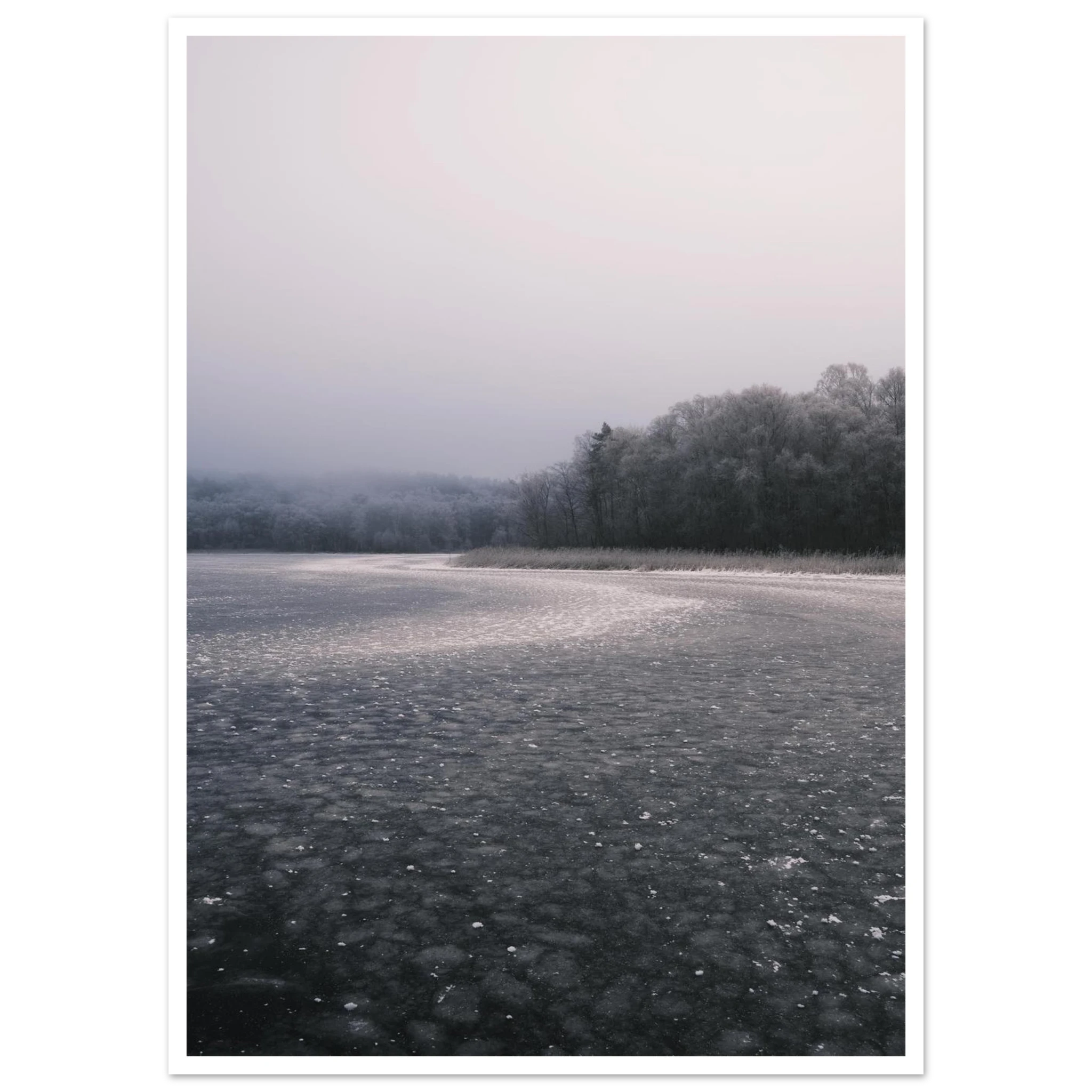 83a922a8-158a-4ca1-8fb1-d28260546246