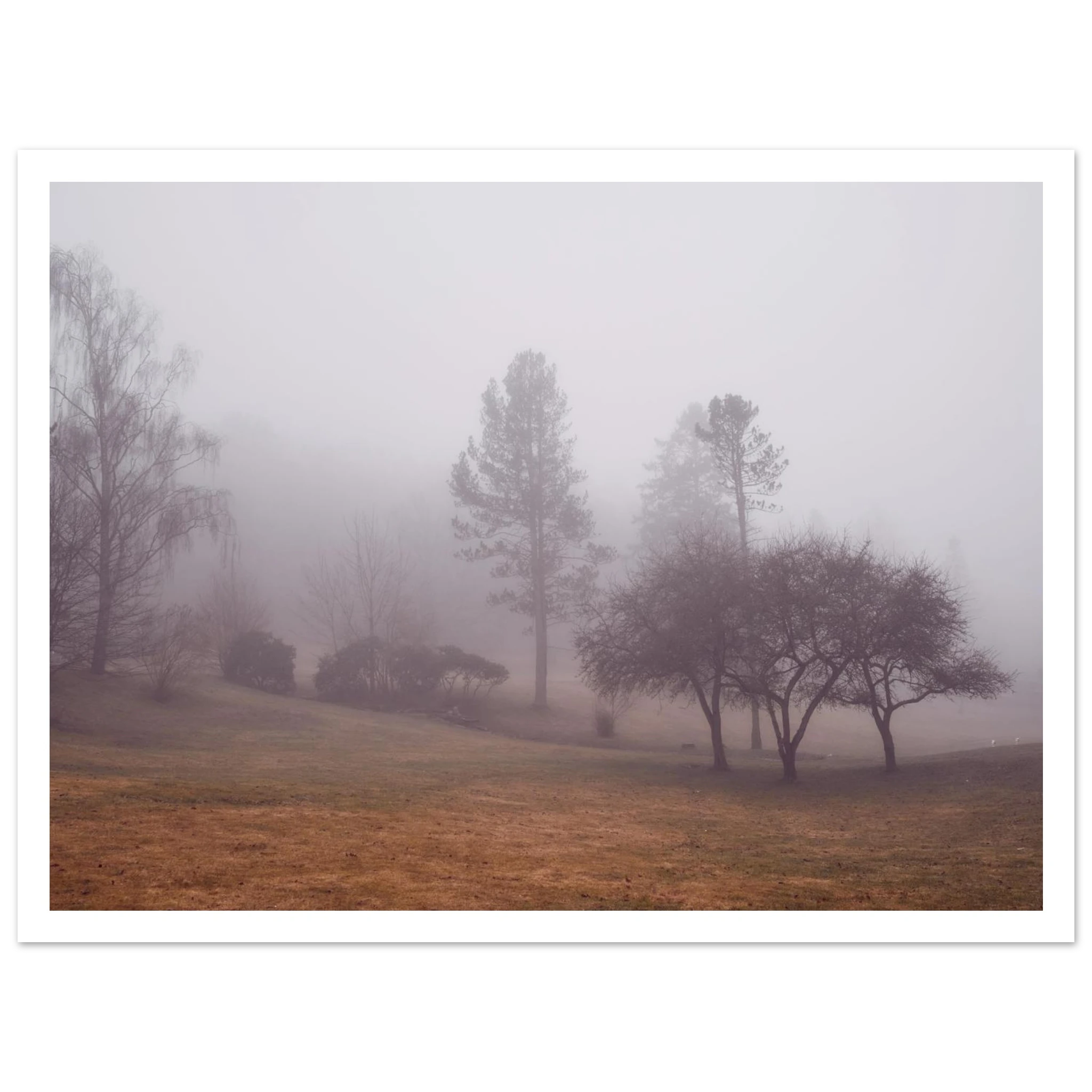 9533baee-b6c5-4bf7-8094-214d08c17033