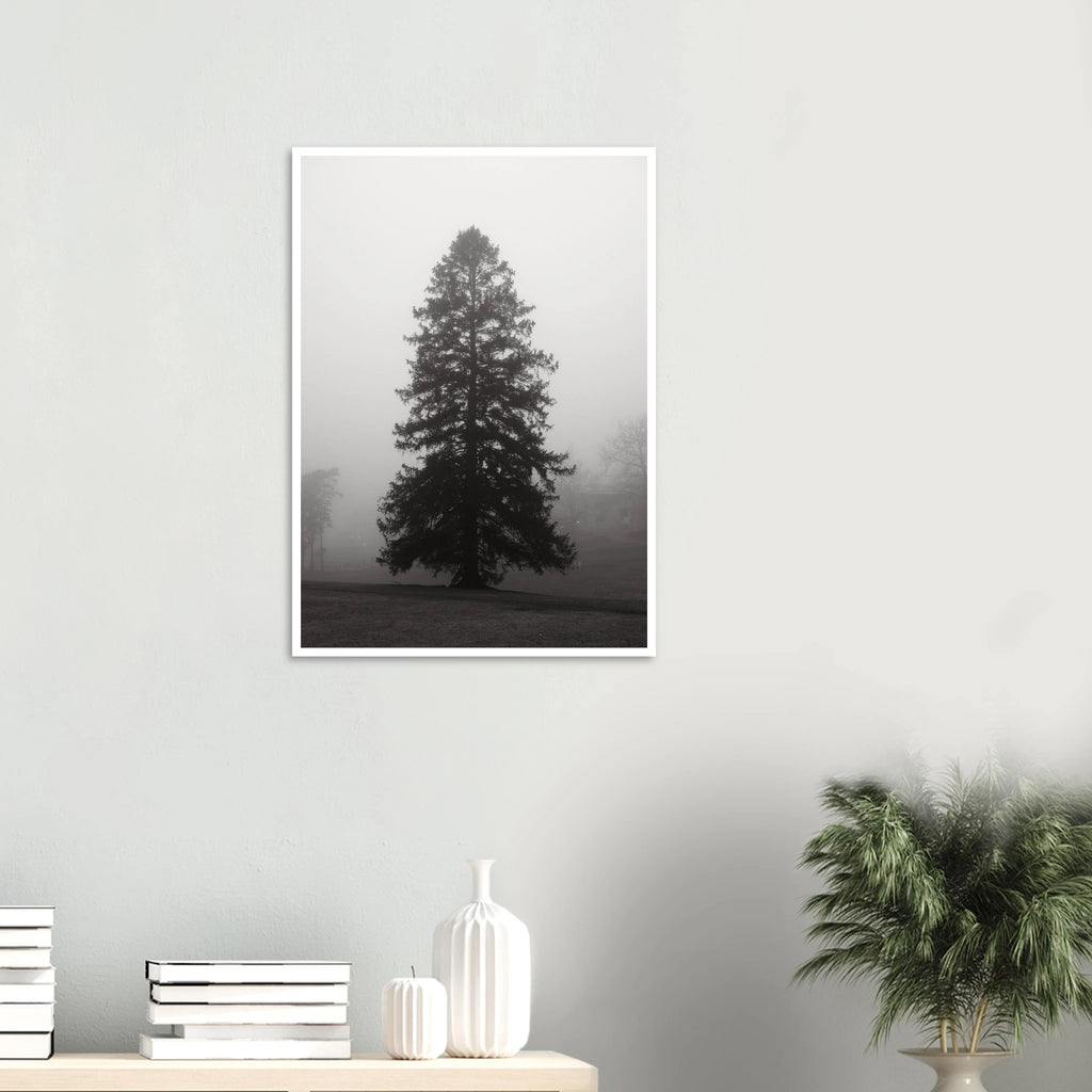 9a9c7703-1ba5-4c07-9f9b-1b92e68a757a