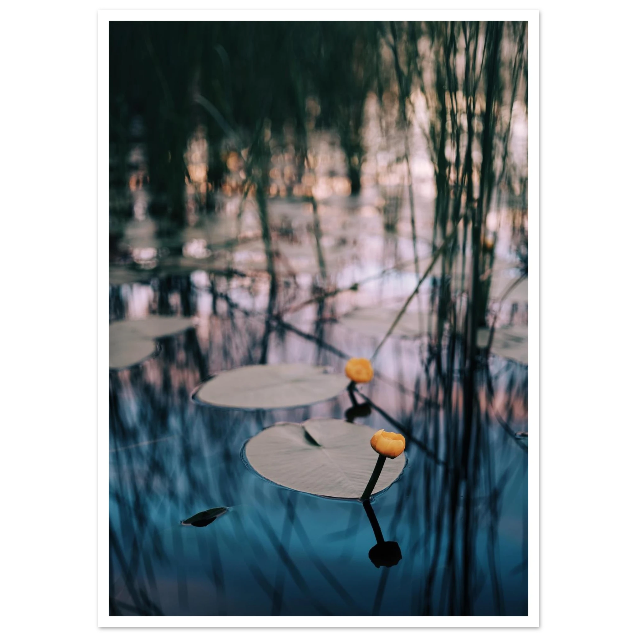 a55ee1ef-a7fb-4d13-a9a4-906a08fecd7c