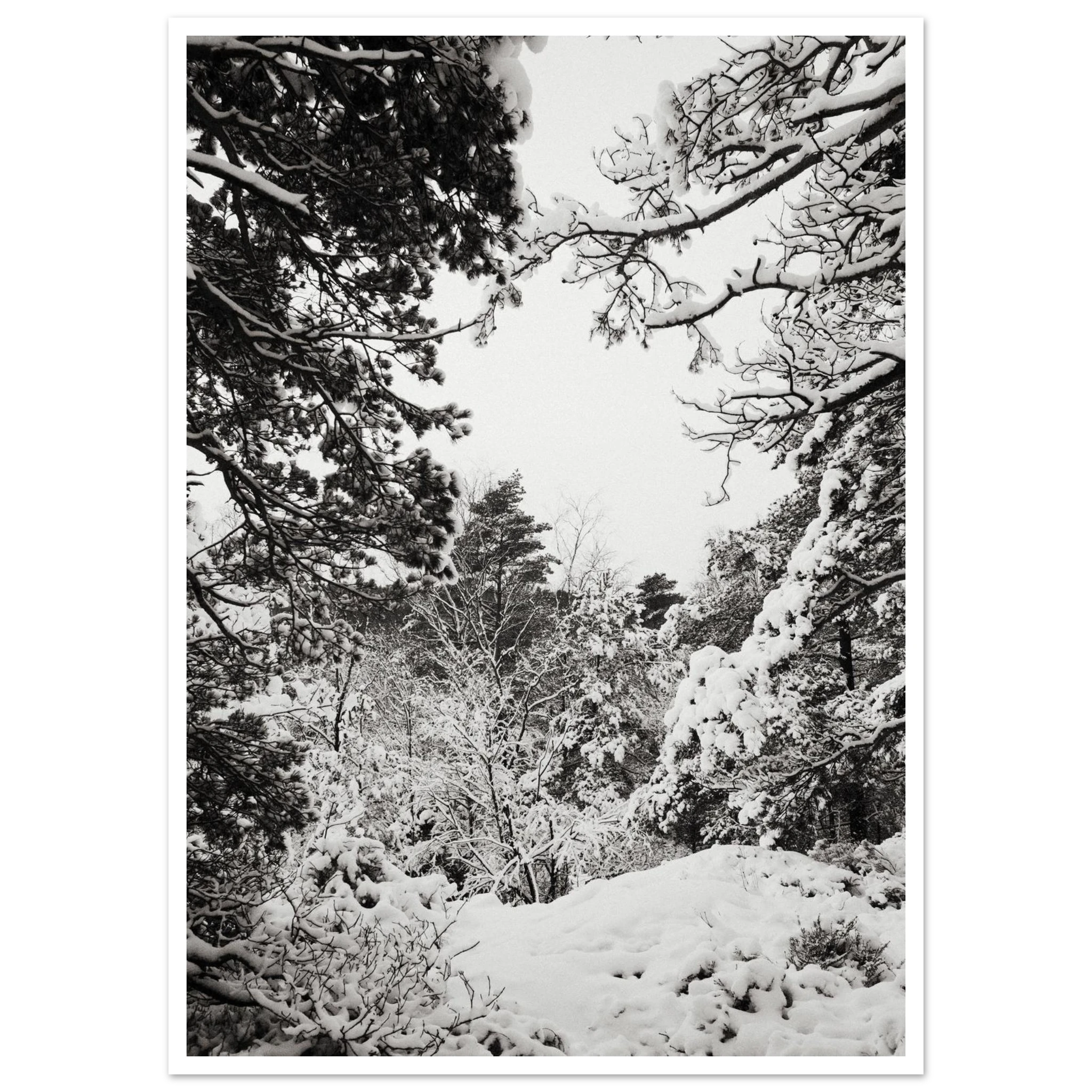 a7bba1f1-8e74-48a2-a42c-e1674203a307