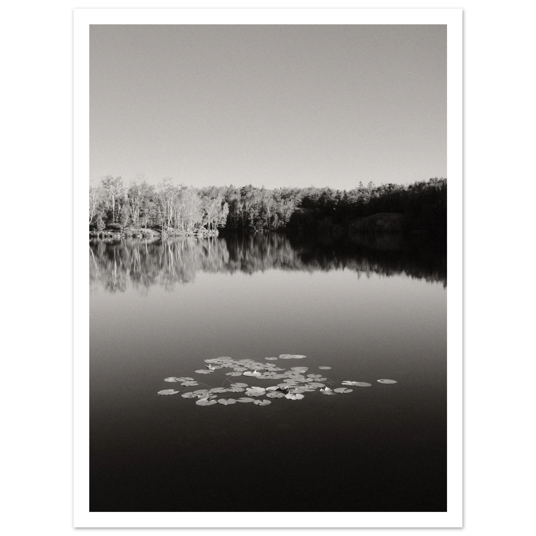 b3303201-82b3-4d47-b884-5aeb7a96b3e1