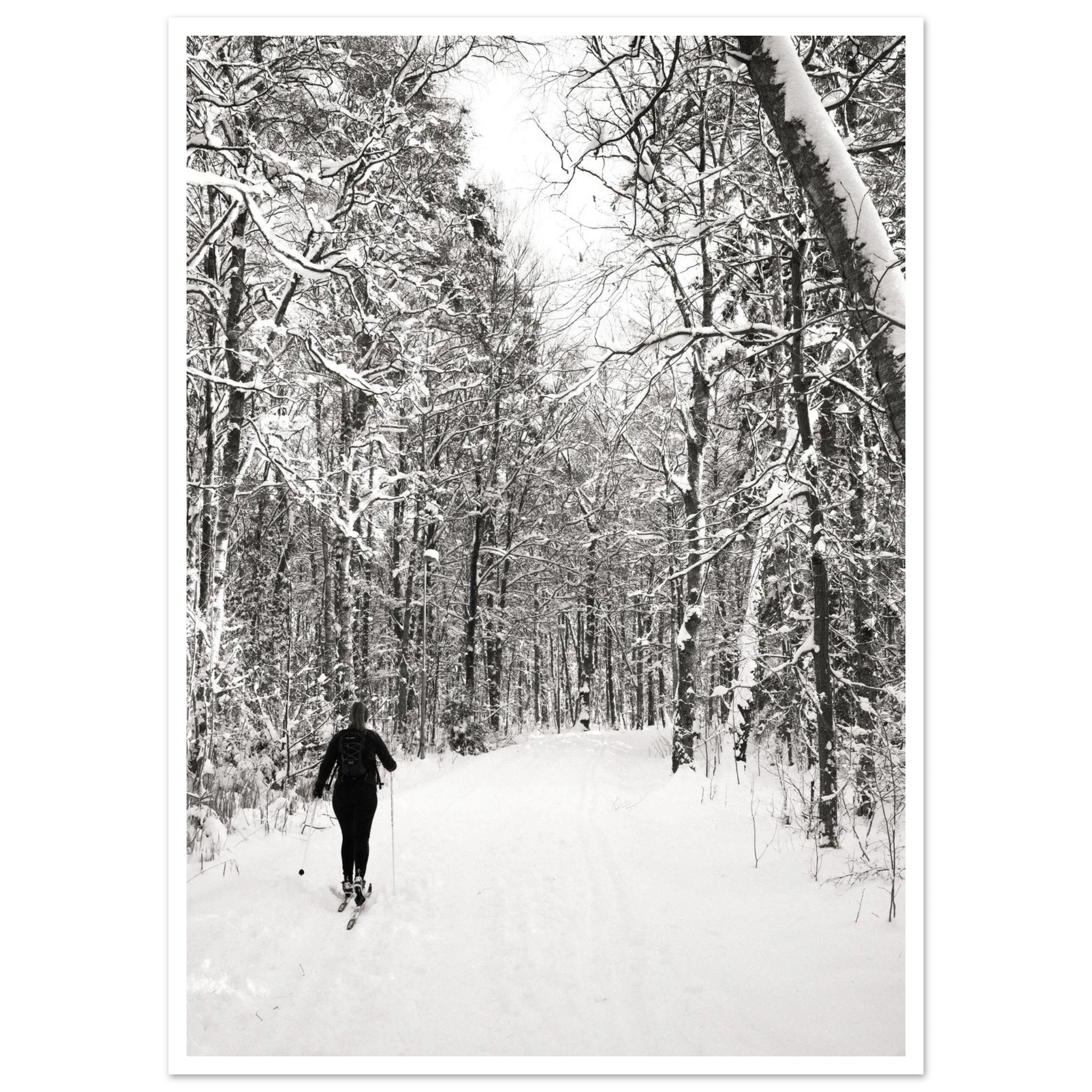 e1efc7ce-ecbf-4b1c-8abe-afa1e5734feb