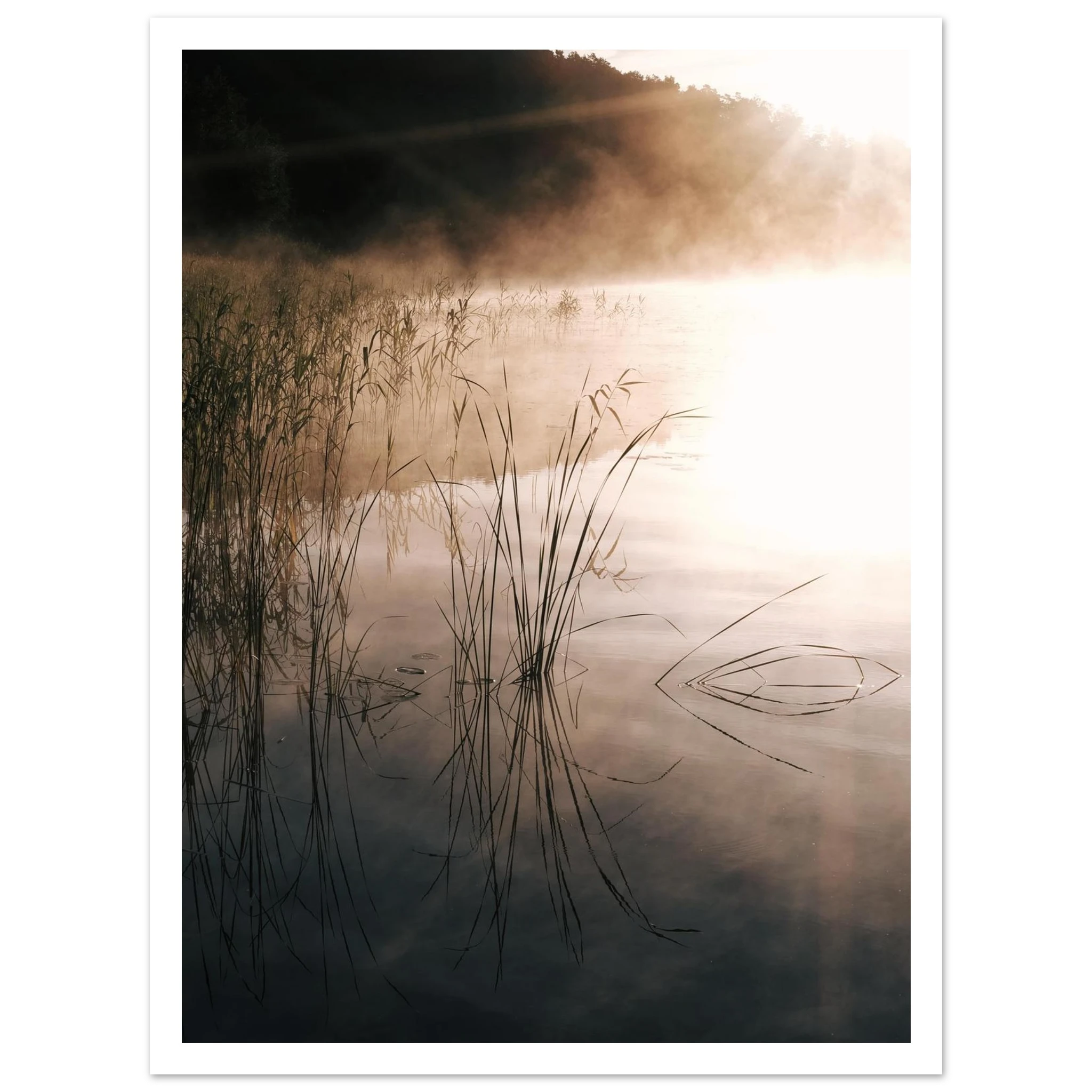 e397e9db-c168-4753-babe-cdb02e732dbe