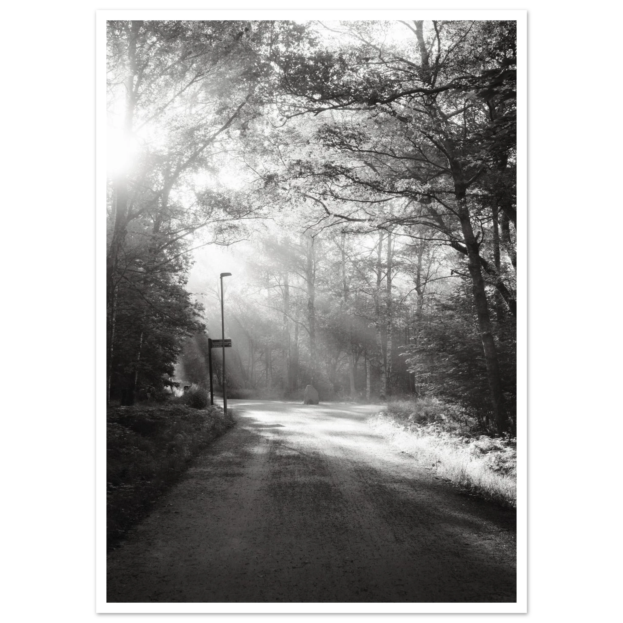 ea7ced5b-616c-4142-96cc-aa2236f98ea1